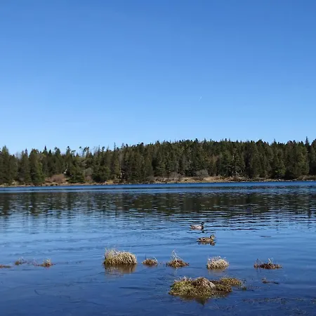 شاليه Logis Crozas La Cocotte *