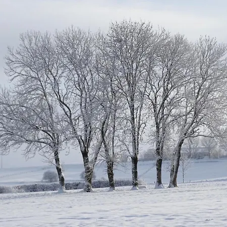 Logis Crozas La Cocotte Шале