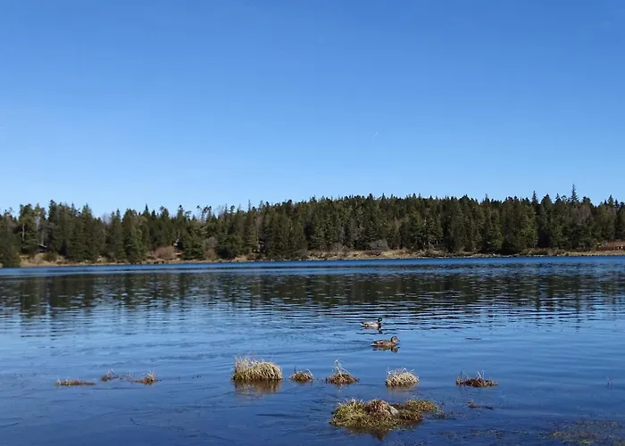 Шале Logis Crozas La Cocotte *