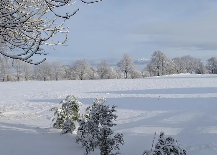 Logis Crozas La Cocotte Chalet