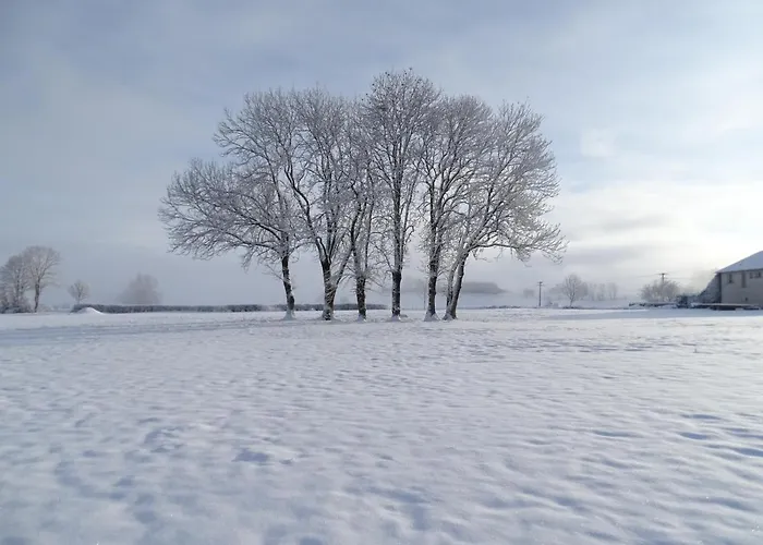 Logis Crozas La Cocotte Chalet Vernines