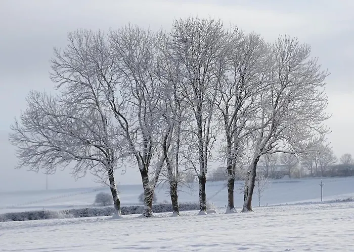 Logis Crozas La Cocotte Шале